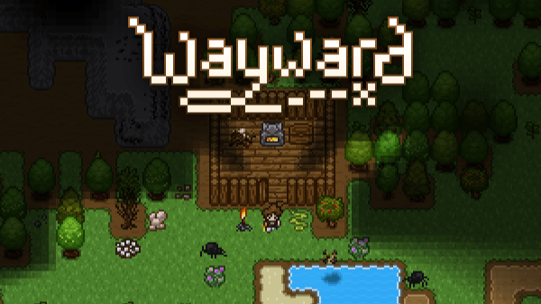 Wayward game